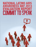 NLAAD Evaluation Report 2013